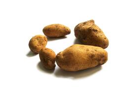 Potatoes on white background photo