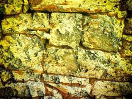 Texture Of Yellow Stone In The Garden photo