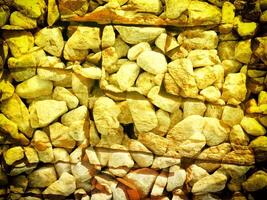 Texture Of Yellow Stone In The Garden photo