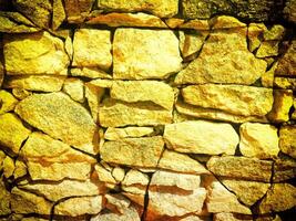 textura de amarillo Roca en el jardín foto