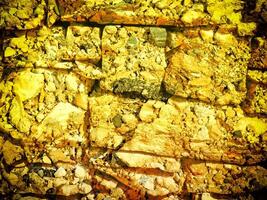 Texture Of Yellow Stone In The Garden photo