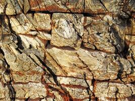 outdoor stone wall texture photo