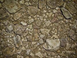 Dark Stone Texture In The Garden photo