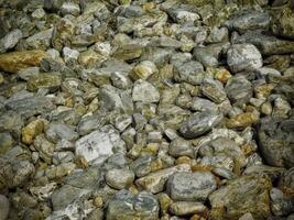 Dark Stone Texture In The Garden photo