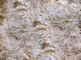 Outdoor stone texture photo