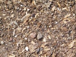 Outdoor brown earth texture photo