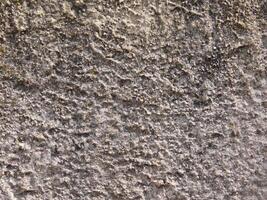 Stone texture outdoor photo