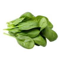 AI generated spinach leaf png