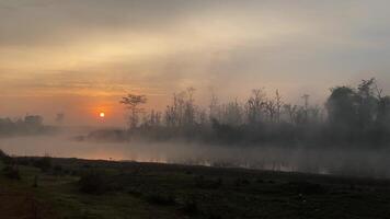 sunrise over misty river and jungles in asia video