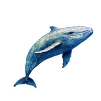 ai gerado uma azul baleia em uma transparente fundo png
