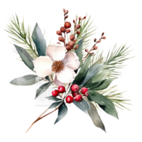 ai généré aquarelle Noël fleurs et feuilles sur une branche png