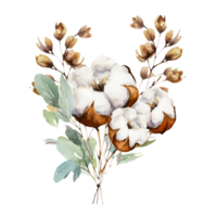 AI generated watercolor cotton flowers and leaves on a transparent background png