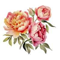 AI generated watercolor peony flowers on transparent background png