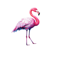 AI generated flamingo watercolor painting png