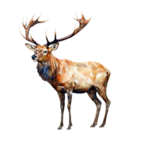 AI generated Elk illustrated in watercolor png