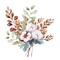 AI generated watercolor cotton flowers and leaves on transparent background png