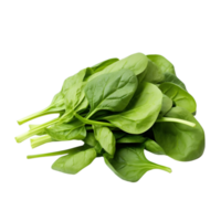 AI generated spinach leaf png