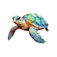 AI generated Isolated turtle illustrated in watercolor png