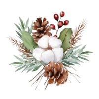 AI generated watercolor cotton flowers and pine cones on a transparent background png