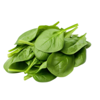 AI generated spinach leaf png