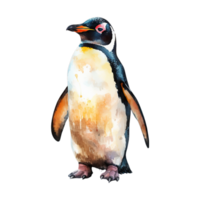 ai gegenereerd geïsoleerd pinguïn geïllustreerd in waterverf png