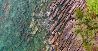 Aerial drone view of the rocky coastline with clear turquoise sea and palm tree video