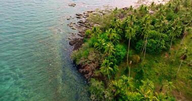 aereo fuco Visualizza di il roccioso costa con chiaro turchese mare e palma albero video