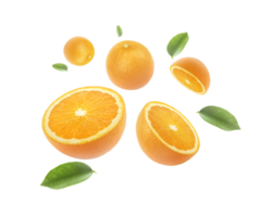 Orange fruit and Orange with cut in half leaves levitate, transparent background png
