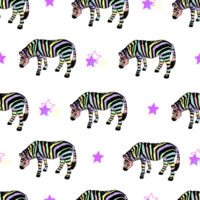 zebra modello. struttura di strisce. animale modello png