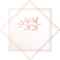 Flower frame hand drawn illustration on transparent background. png