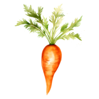 AI generated Watercolor carrot with leaves png