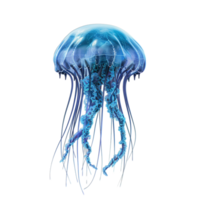 AI generated delicate translucent jellyfish in the tranquil sea, isolated on transparent background png