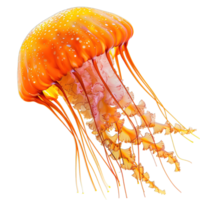 AI generated delicate translucent jellyfish in the tranquil sea, isolated on transparent background png