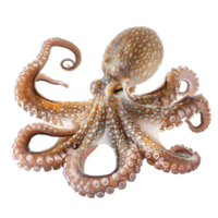 AI generated octopus in ocean's embrace, a spectacle of adaptability, isolated on transparent background png