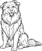 Black and White Vector Illustration of an Australian Shepherd Dog