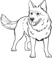 Black and White Vector illustration of an Australian Cattle Dog