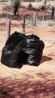 closeup of full trash bags on the sand video