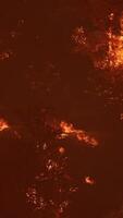 large flames of forest fire at night video