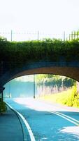 arch bridge with living bush branches in park video