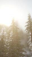 lever de soleil d'hiver spectaculaire dans les montagnes video