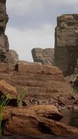 il fiume colorado taglia la roccia al Grand Canyon video