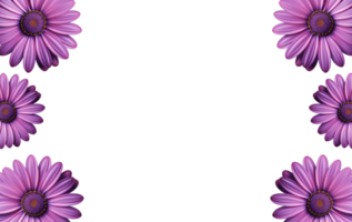 AI generated Flower frame borders, floral decoration, transparent background, Flat lay, top view png