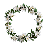 AI generated Wreath of flowers, flower wreath round frame borders, floral decoration, transparent background, Flat lay, top view png