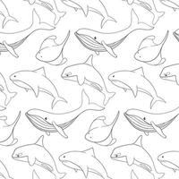 Undersea and ocean animals pattern in line art style. Wild marine creatures shark, blue whale, stingray and killer whale. Vector illustration on a white background.