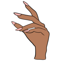 kvinnas skön hand med rosa manikyr png