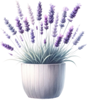 ai generiert Aquarell Lavendel im rustikal Topf Clip Art png