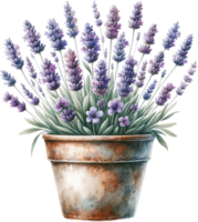 ai genererad vattenfärg lavendel- i rustik pott ClipArt png