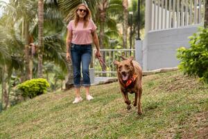 el exuberante perro carreras hacia el cámara en el parque, acompañado por sus dueño. foto