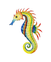 Watercolor illustration of a multicolored seahorse. Stingray fish. Ocean dwellers. Isolated. Hand-drawn. png