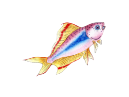 Watercolor illustration of a small lilac fish. Aquarium colorful fish. Sea life. Pet. Isolated. Drawn by hand. png